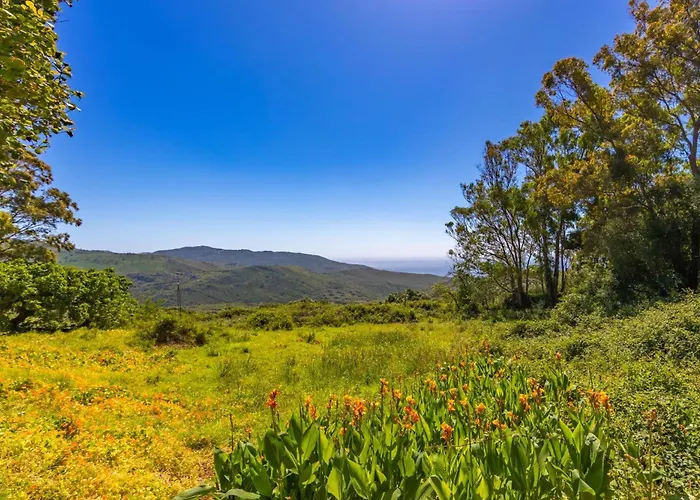 Hétvégi ház Cortijo Cantarranas - Tarifa
